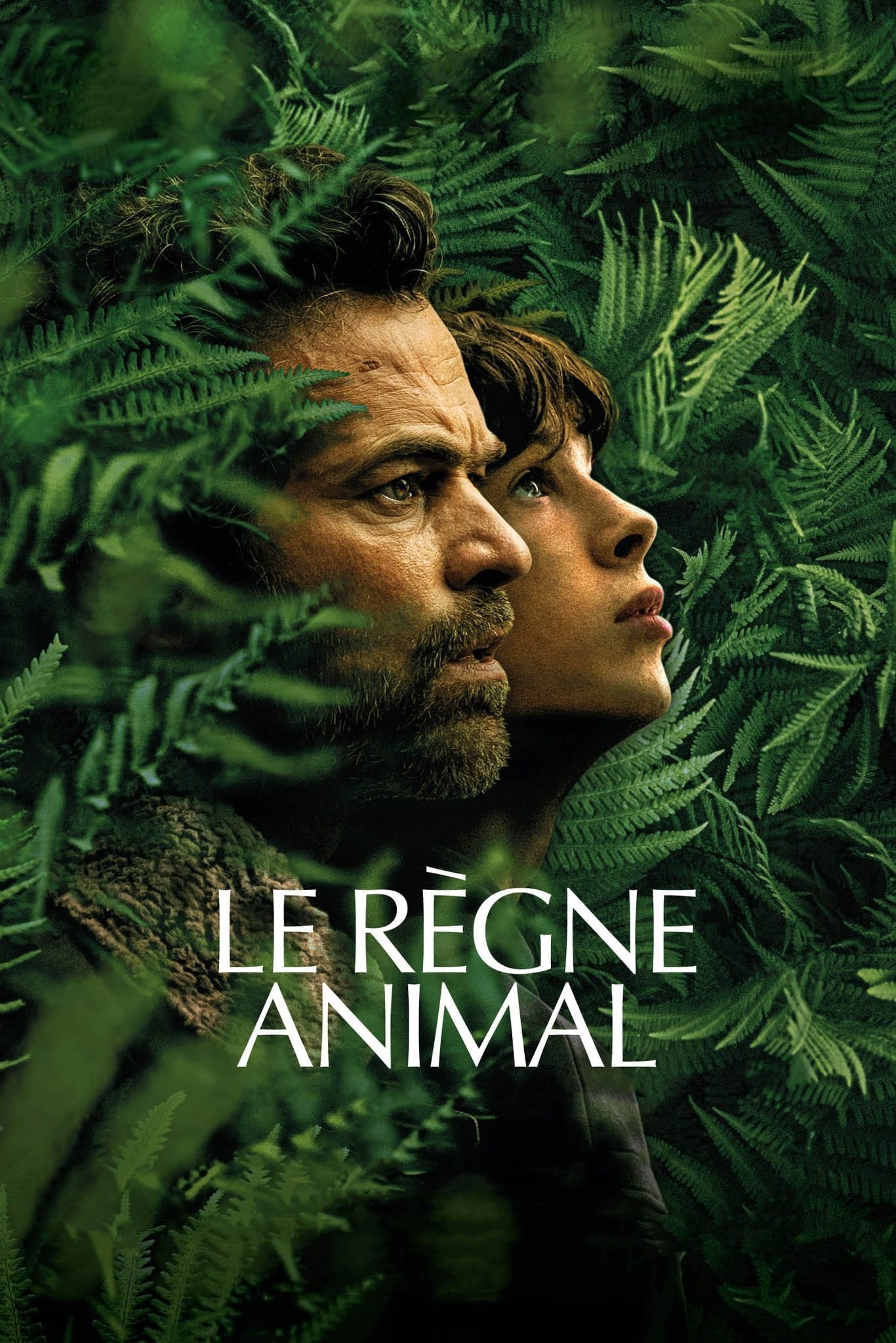 The Animal Kingdom Hindi Dubbed Movie Poster (2023)