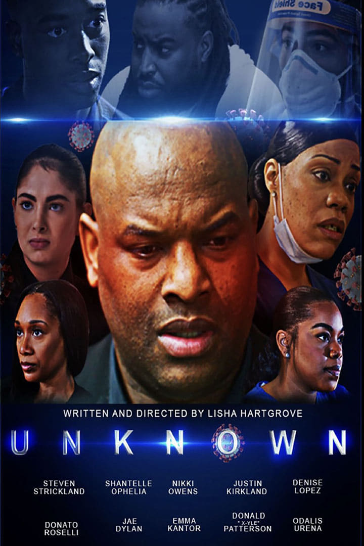 UNKNOWN Hindi Dubbed Movie Poster (2024)