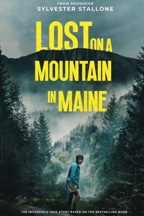 Lost on a Mountain in Maine Hindi Dubbed Movie Poster (2024)